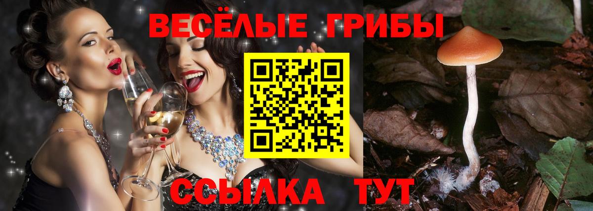 Псилоцибиновые грибы мицелий Можайск